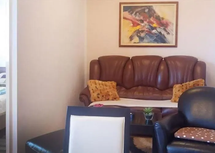 公寓 Pazova 索科矿泉村